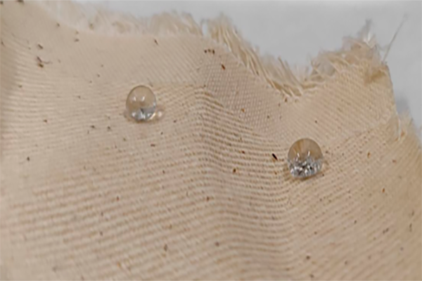 Imagen representativa de los resultados esperados